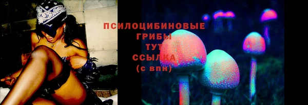 крисы Беломорск