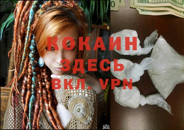 крисы Беломорск