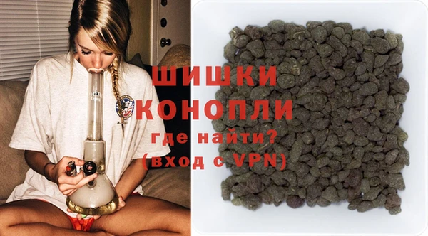 apvp Белокуриха