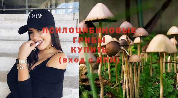 apvp Белокуриха