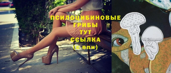 крисы Беломорск