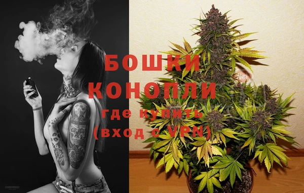 крисы Беломорск